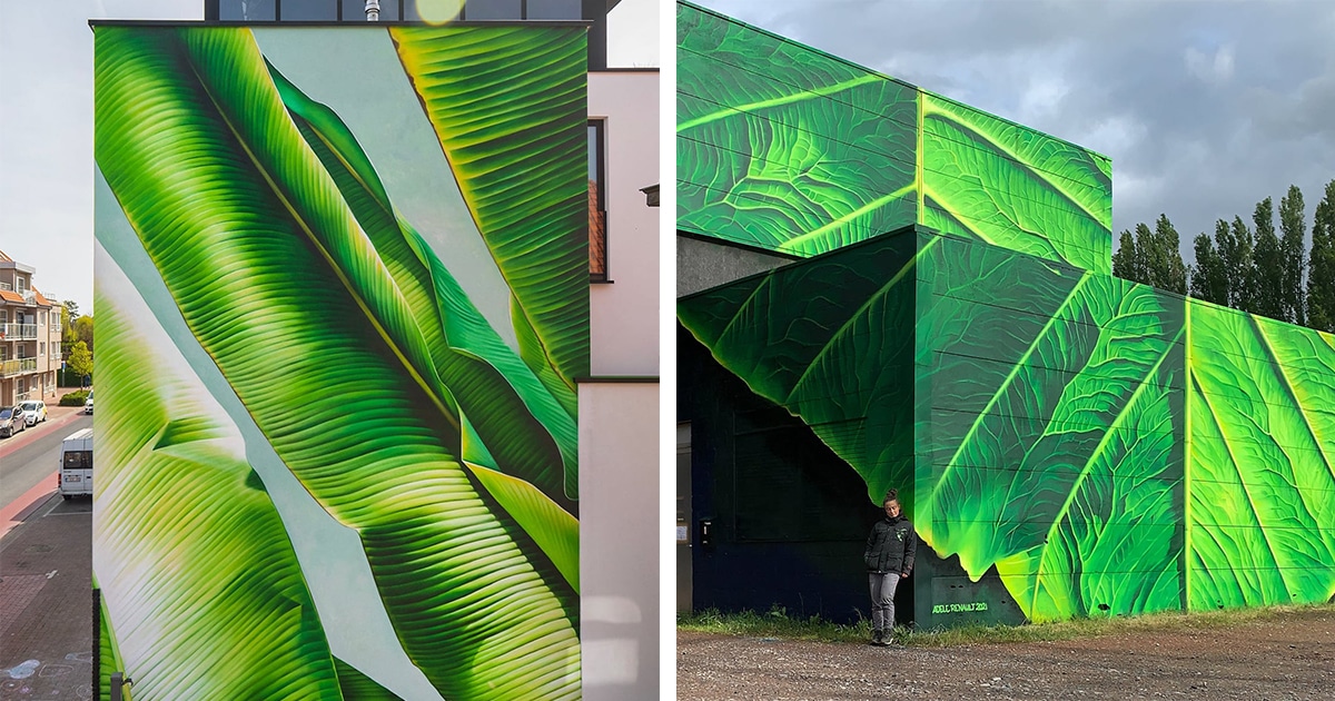 zaibatsu's tweet photo. Larger-Than-Life Leafy Murals Sprout From Urban Spaces https://t.co/7TpDh2YmXa #StreetArt #AdeleRenault https://t.co/jkR7kWzcpl