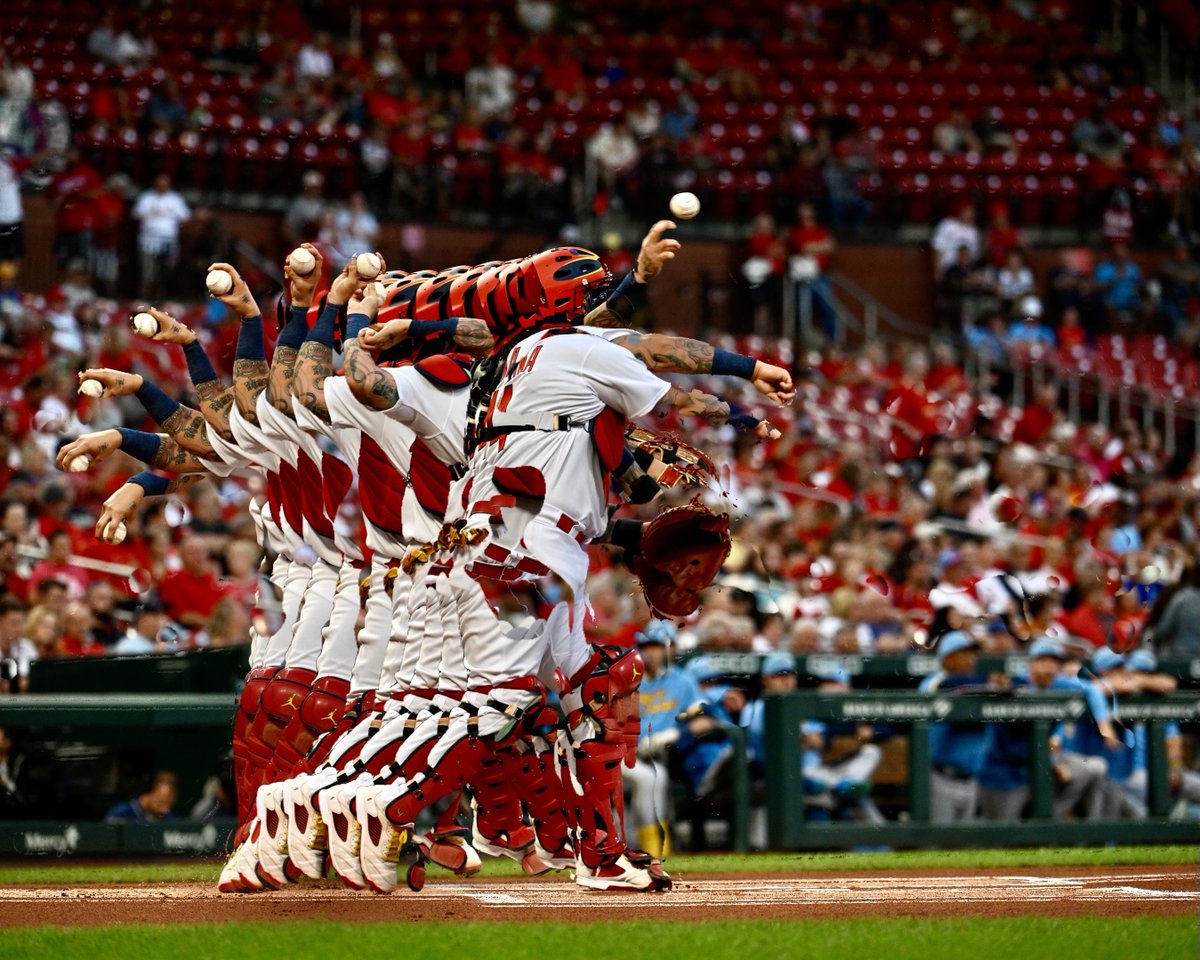 Cardinals's tweet photo. Poetry in motion ✨ https://t.co/JB4a3m5KKI