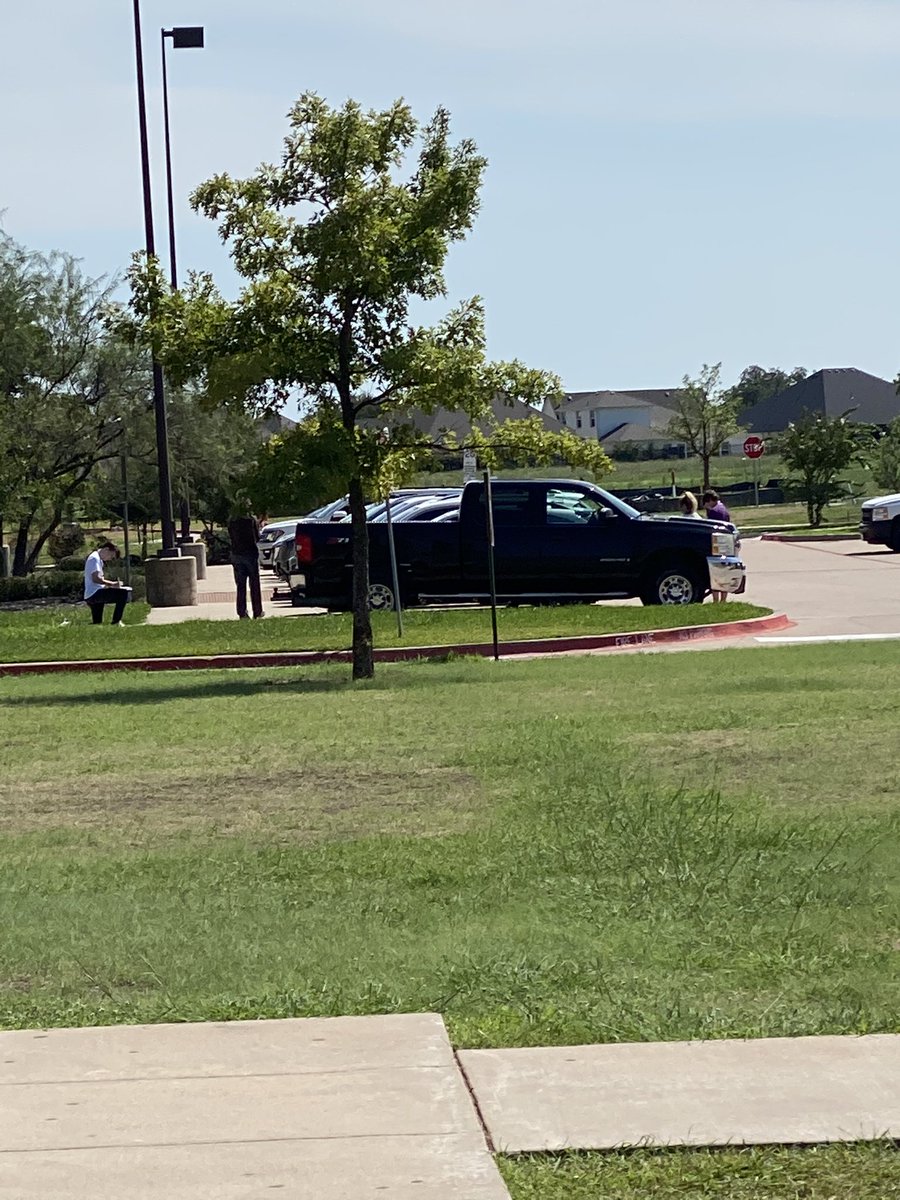 DrRoye's tweet photo. Parking Lot Biodiversity for the win. https://t.co/NVTG2yw9IE