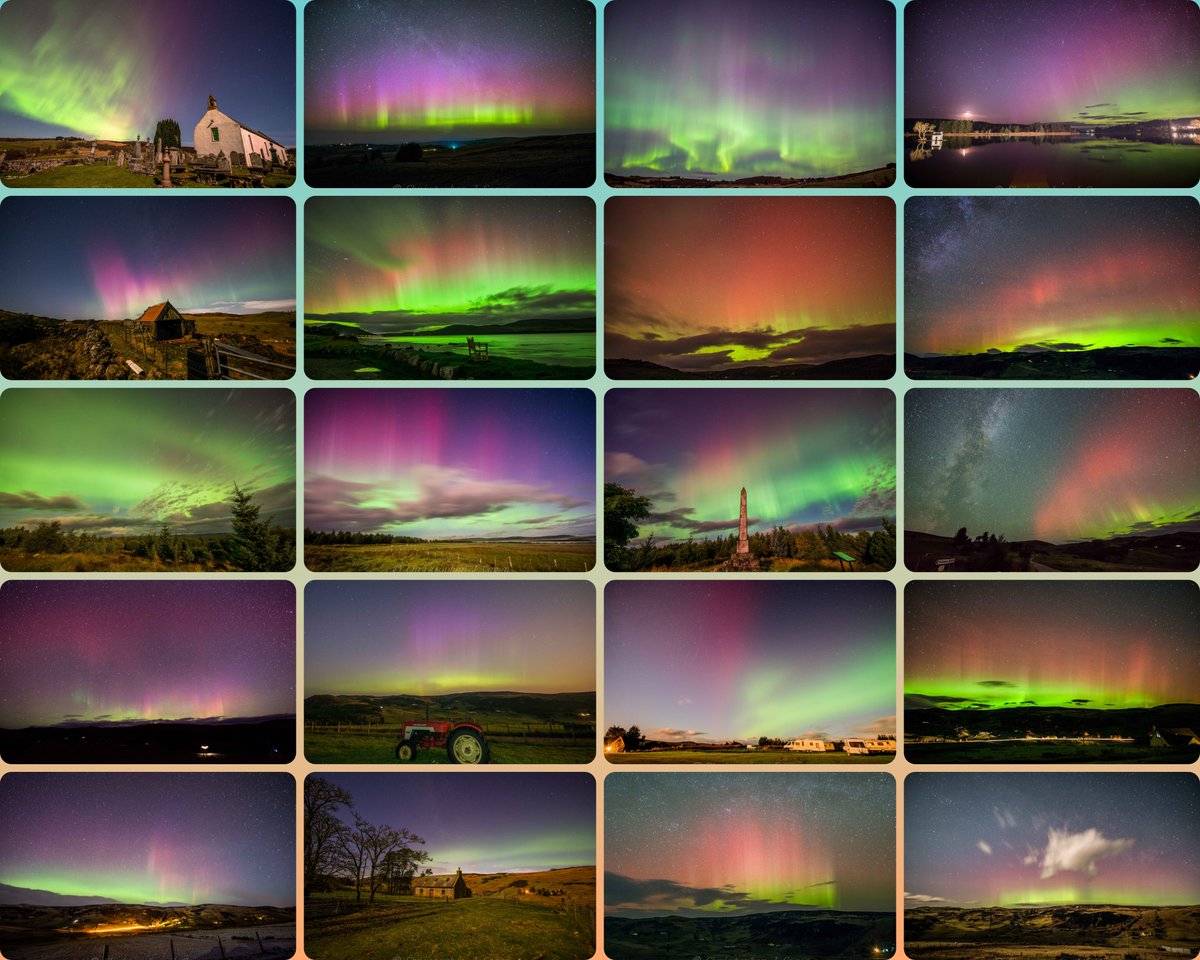 Cogie's Aurora's tweet media