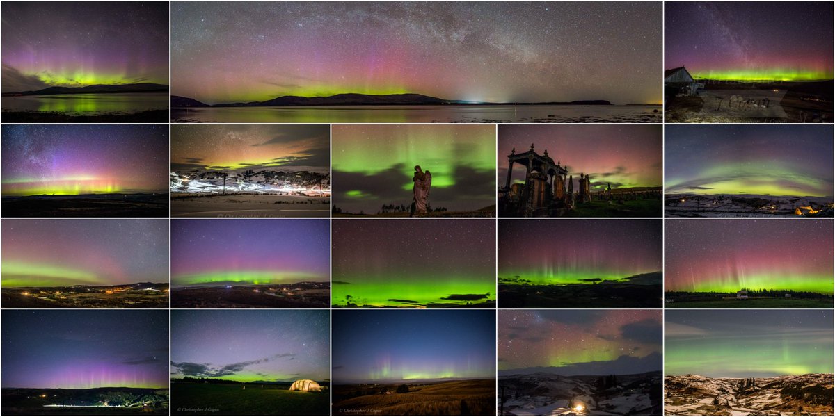 Cogie's Aurora's tweet media