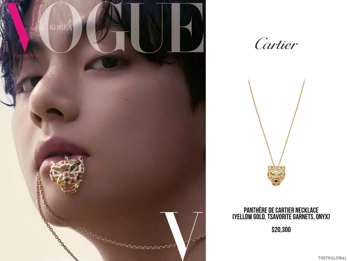 Kim Taehyung (V) embodies the hypnotism and sophistication of Panthere de  Cartier