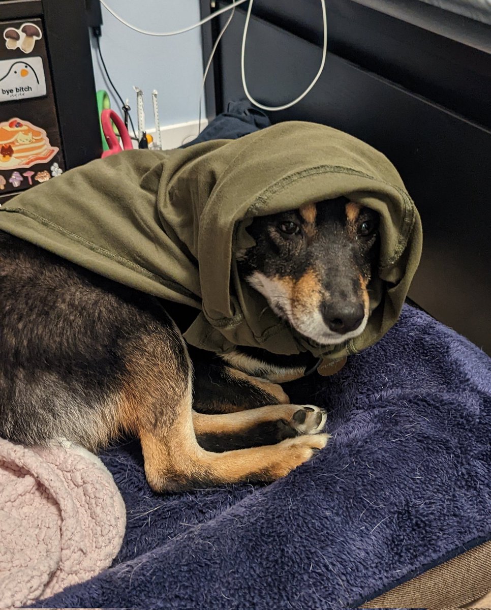 She looks so stooopid. I love her.