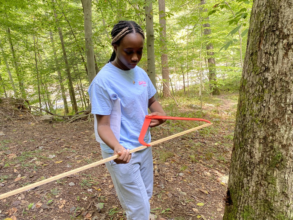 MadeiraScience's tweet photo. In the #MadeiraScience department the #FieldEcology class assessed Madeira’s forest biodiversity today. Part of the process is measuring the diameter of the trees to gauge the diversity of the forest’s maturity. Aren’t huge calipers just so fun?! https://t.co/NEMQ95GuKV