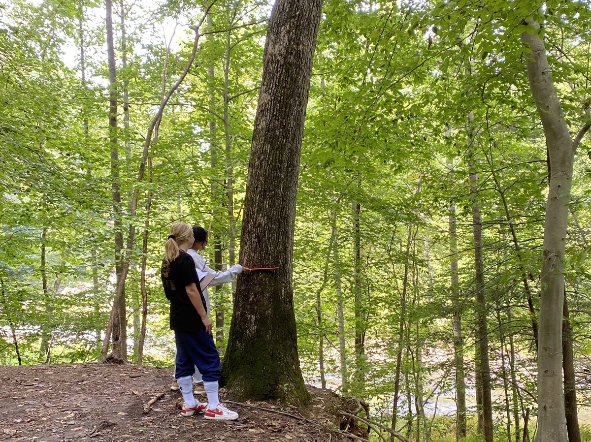 MadeiraScience's tweet photo. In the #MadeiraScience department the #FieldEcology class assessed Madeira’s forest biodiversity today. Part of the process is measuring the diameter of the trees to gauge the diversity of the forest’s maturity. Aren’t huge calipers just so fun?! https://t.co/NEMQ95GuKV