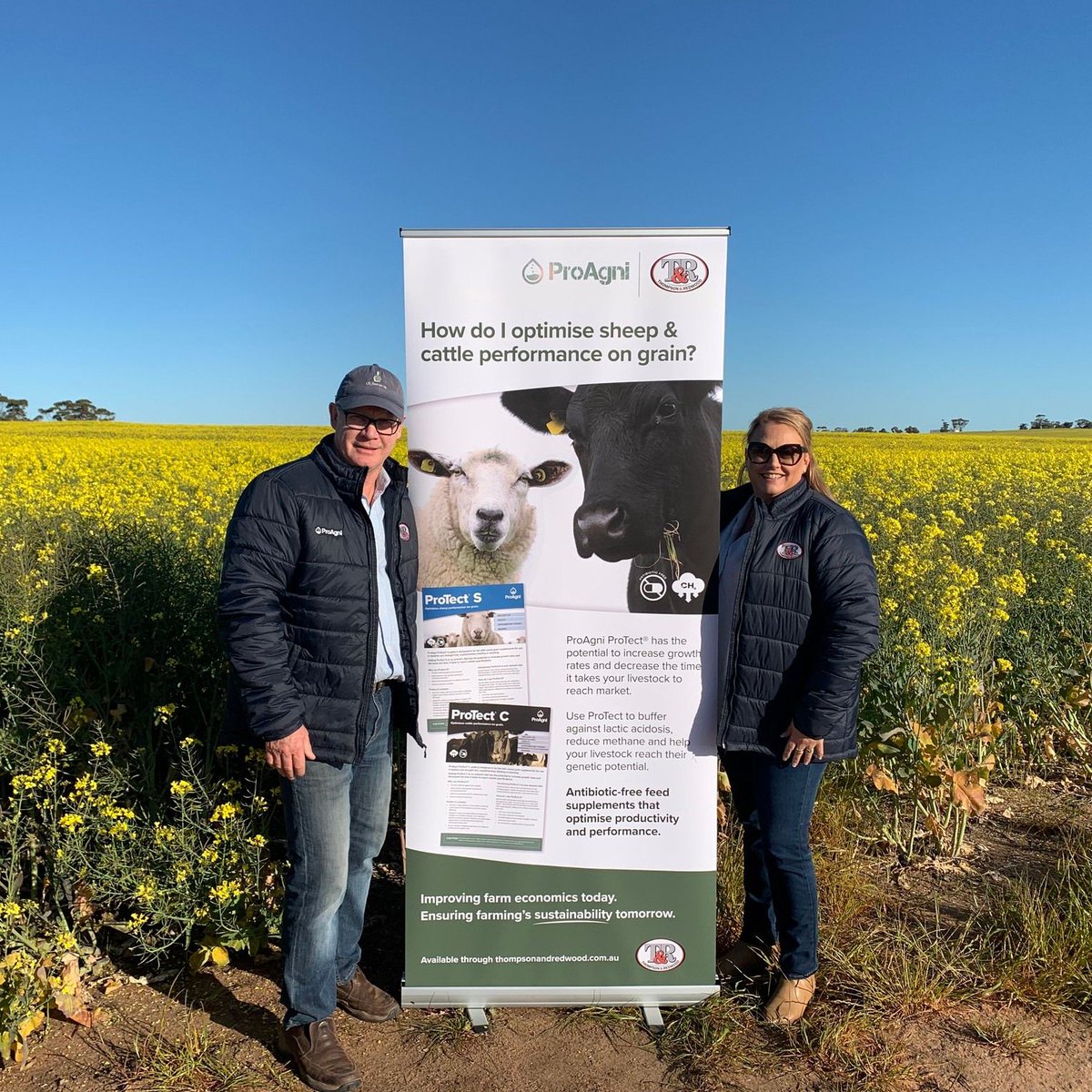 ThompsonRedwood's tweet photo. On the road this week in the beautiful south and lucky to have Lachlan Campbell with us to discuss all things stockfeed #BovatecFree #RumensinFree #KnowWhatYourFoodEats #antibioticfree #winningteam @ProAgni_AIF #livestockfeeds https://t.co/oczGSO3QKV
