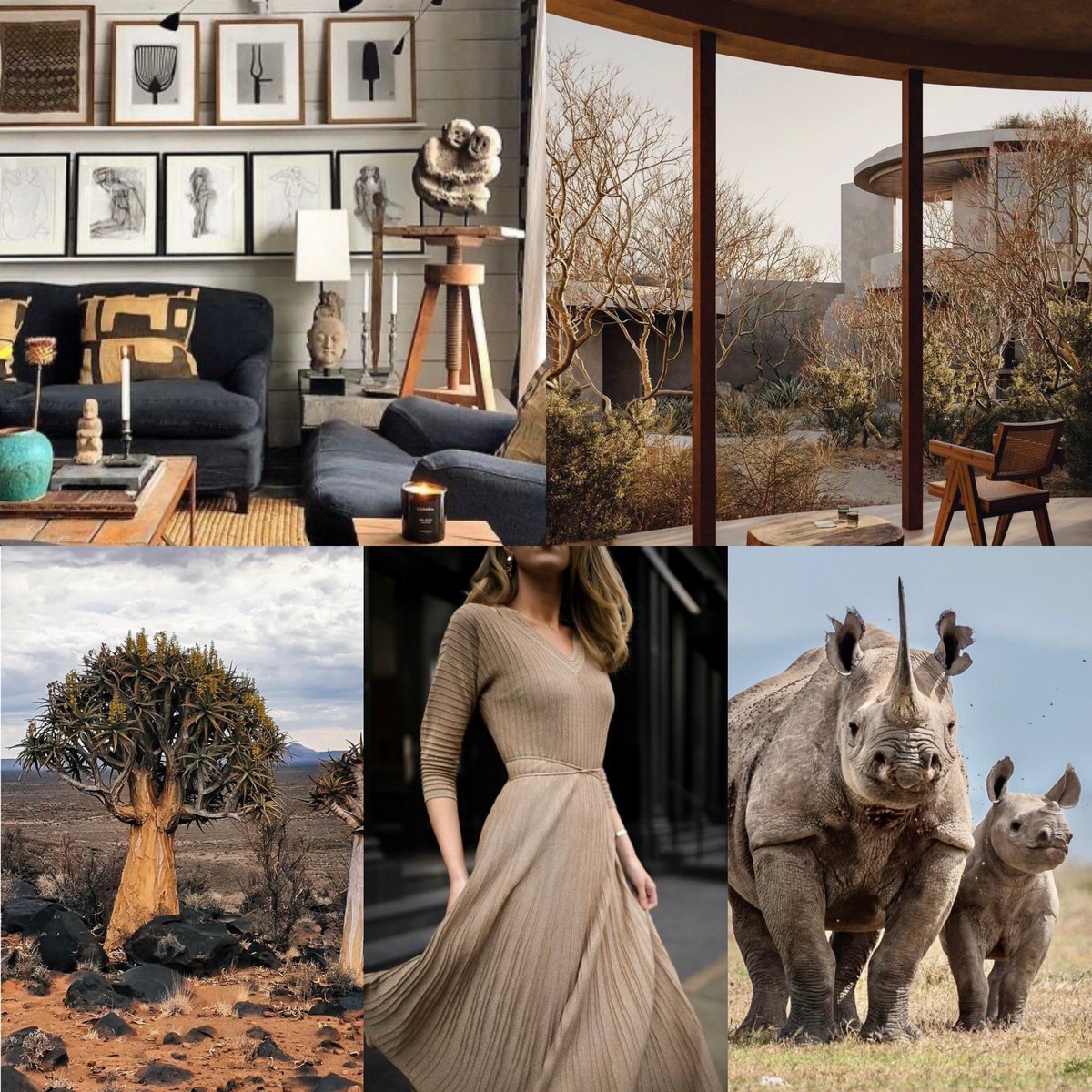 playerrealestat's tweet photo. Infused with Africa by @Marc_Player #playerdesign @PlayerDesign #home #design #safari #infusedwithafrica #marcplayer #style #architecture #quivertree #woman #rhino https://t.co/v5pcktF6me