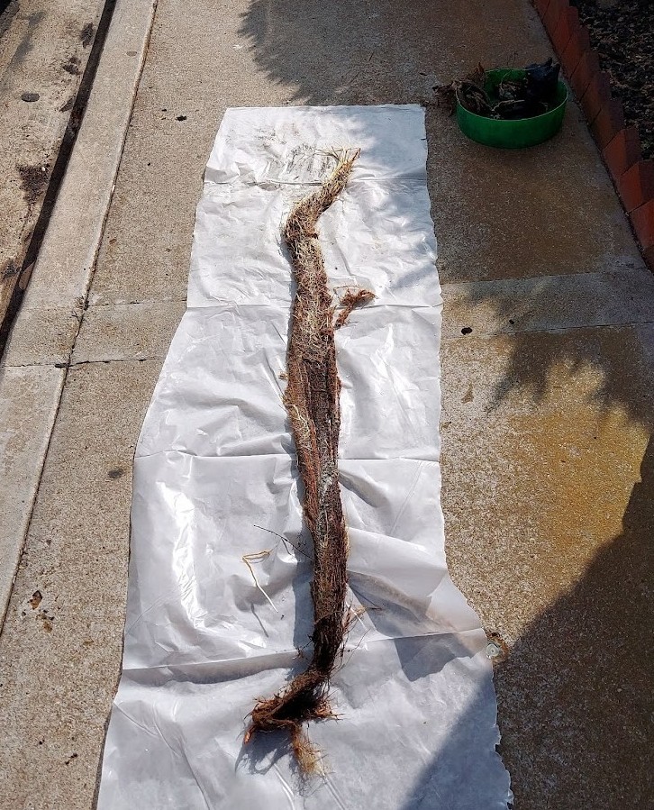 Bill Howe Plumbing tweet media