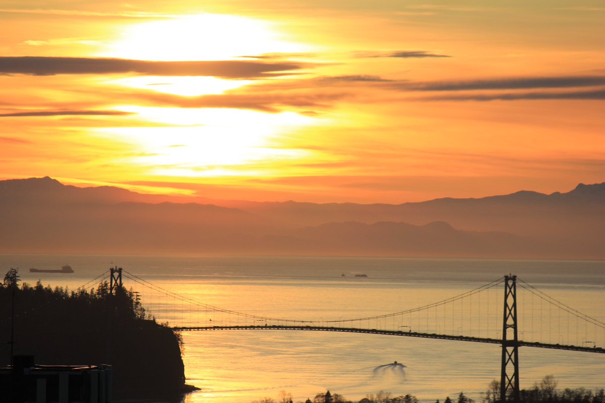 Caelan Booth tweet media