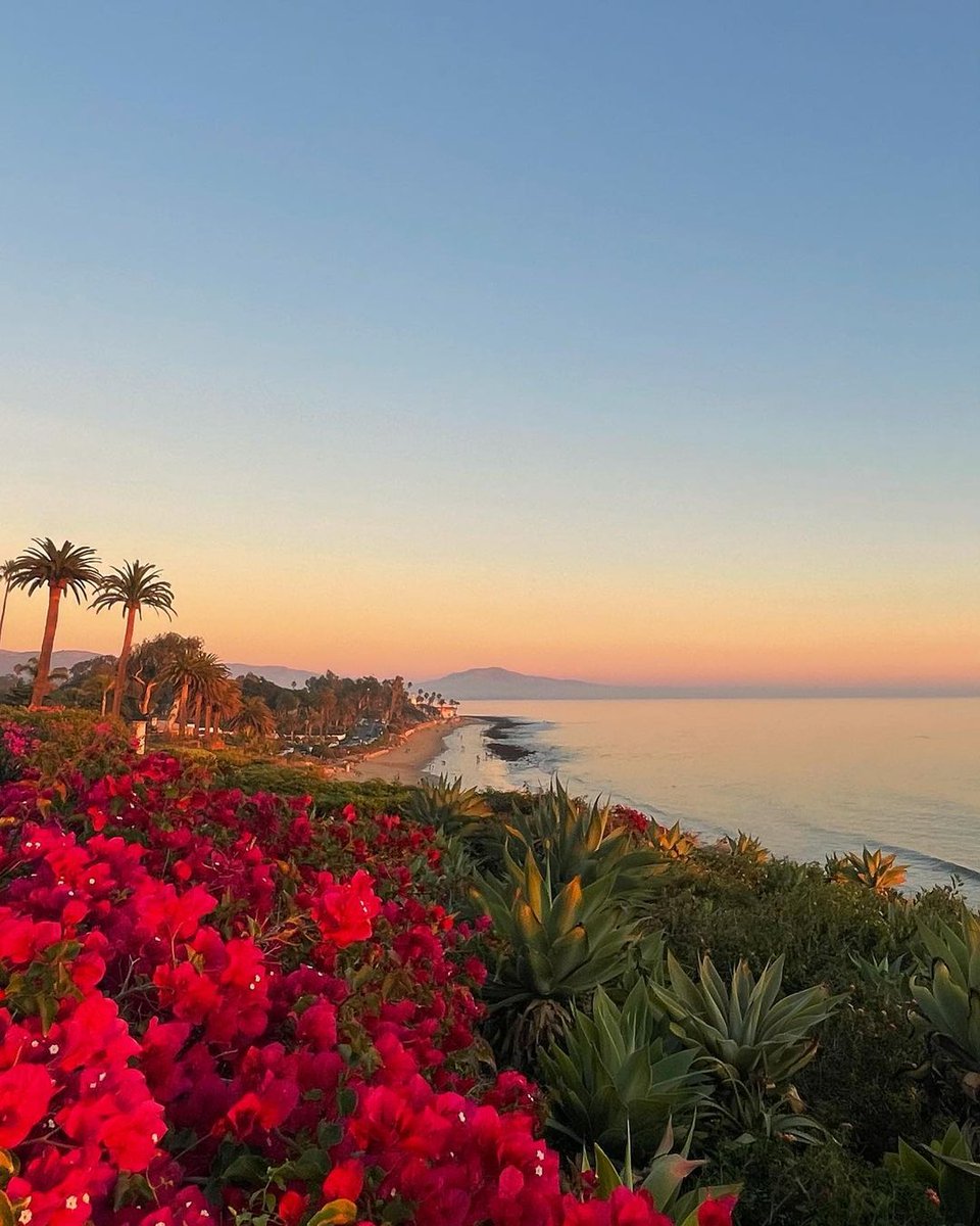 Road trip por el sur de California:  Inicia en San Diego, cruzando por del CBX.

✅San Diego
✅Huntington Beach
✅Santa Monica Pier
✅Santa Barbara

Nuestros expertos en el #CaliforniaWelcomeCenter te ayudarán a elegir las mejores rutas y todo lo que necesitas para tu viaje.