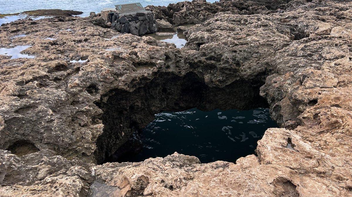 mannyjaggaming's tweet photo. Found Grotto From Fortunes Keep! #WARZONE募集 #CallofDutyWarzone #CallofDuty #fortuneskeep https://t.co/X8bwHkGRqr