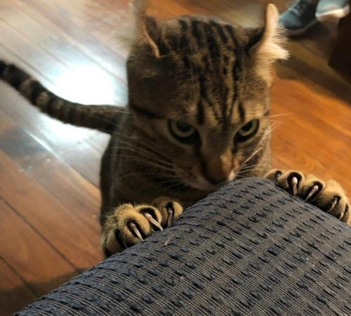 tooangery's tweet photo. https://t.co/8o0ormtCQW