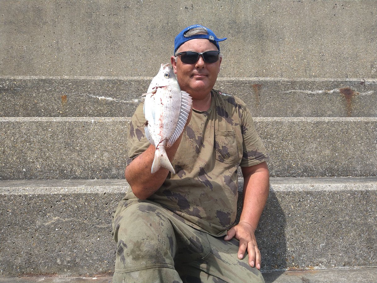 barryflack1's tweet photo. More fish from the Brighton marina trip https://t.co/9NxWxPbRUk