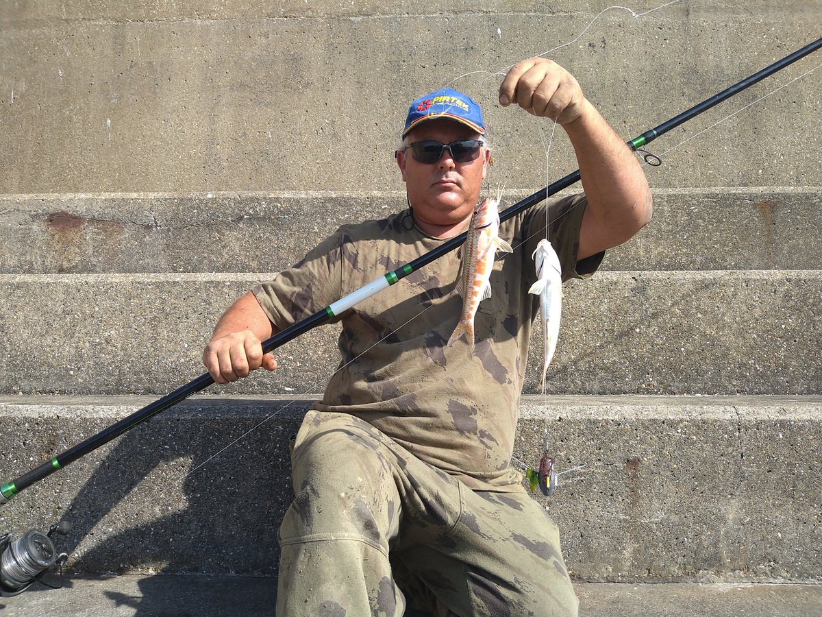 barryflack1's tweet photo. More fish from the Brighton marina trip https://t.co/9NxWxPbRUk