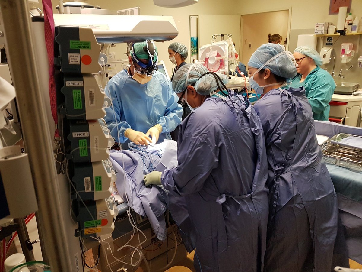 StarshipSimProg's tweet photo. Learnings from PICU ECMO simulations pictured have translated into improved care for our paediatric and neonatal patients #ipsssimweek #hcsimweek22 https://t.co/TjszDq2zwc