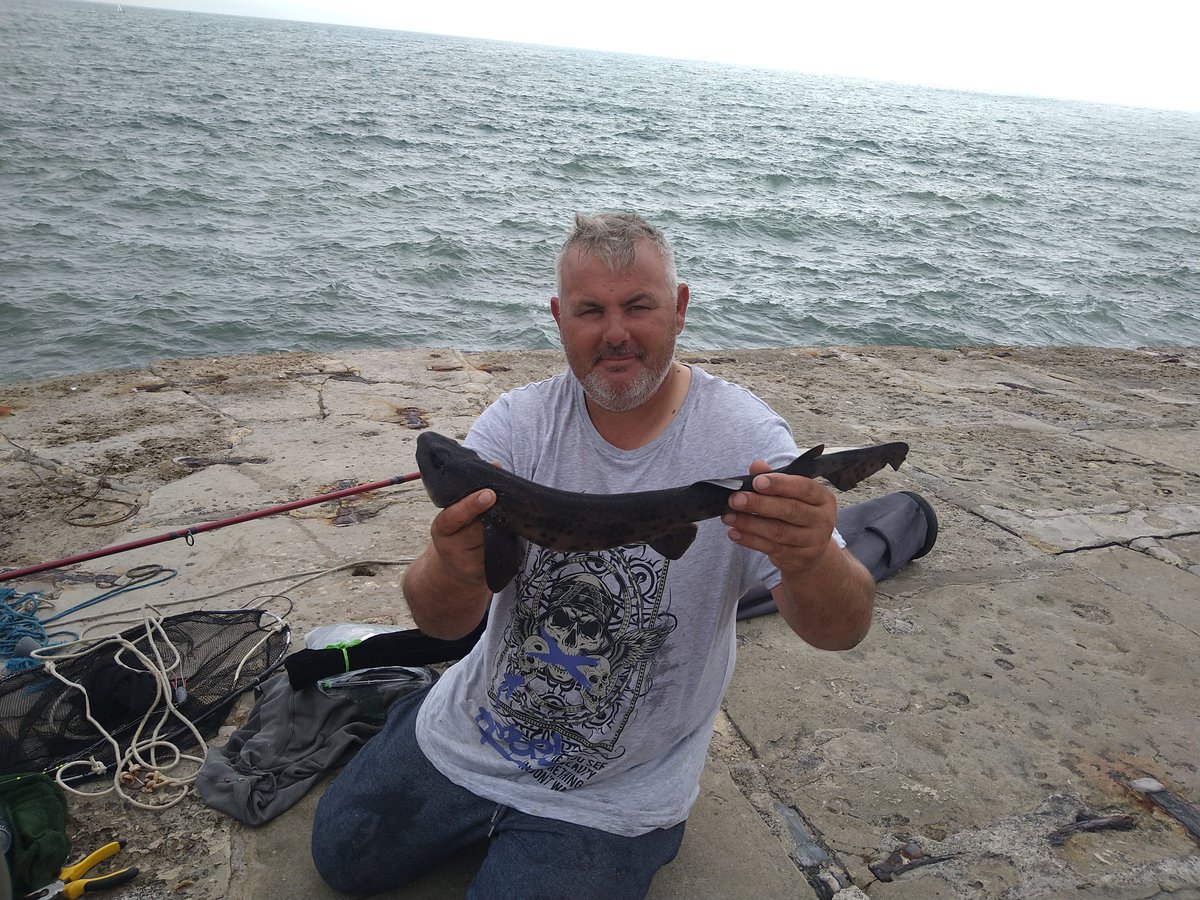 barryflack1's tweet photo. Trip to dorset https://t.co/dxe4rJSiOT