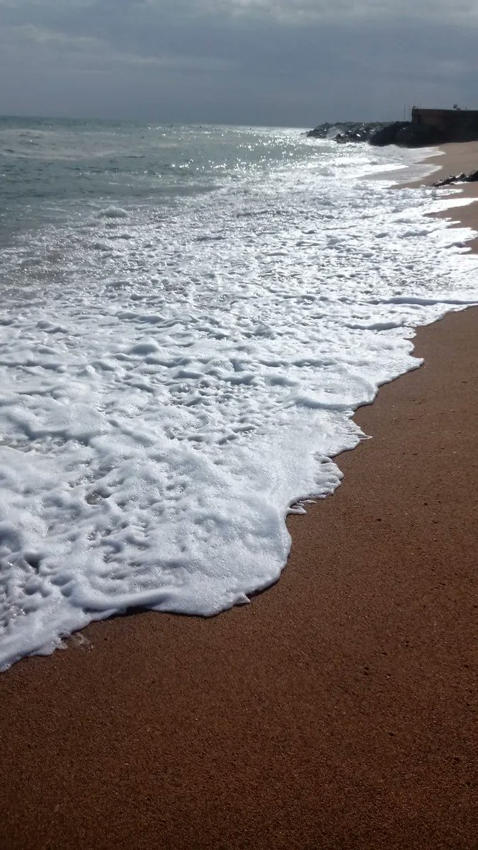 soofi__lopez's tweet photo. mis días libres consisten en conocer playas nuevas 🥺❤️ https://t.co/nQUTlnMfcA