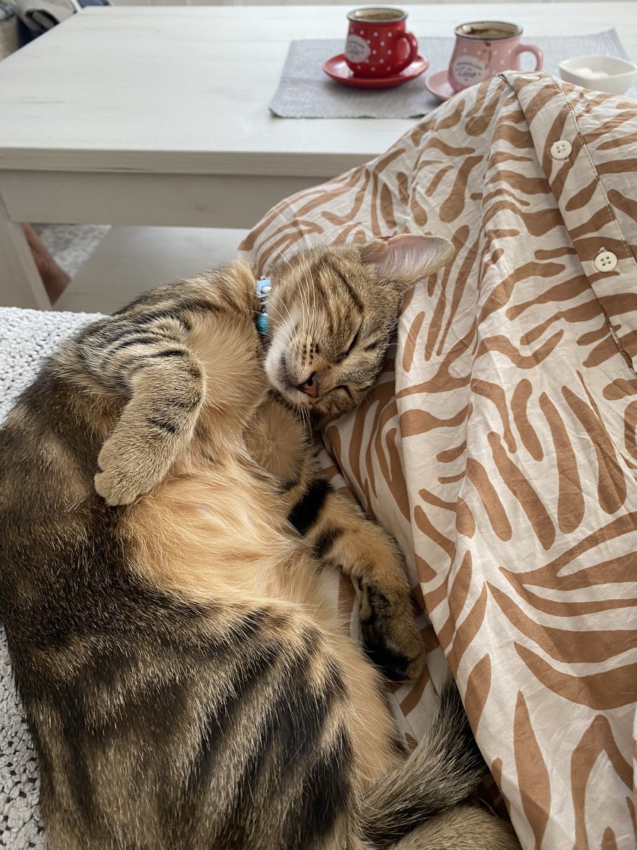 _meliha_m's tweet photo. Neko nas poželio nakon bolničkih dana
#posebna #ljubav https://t.co/54sY1S4RM9