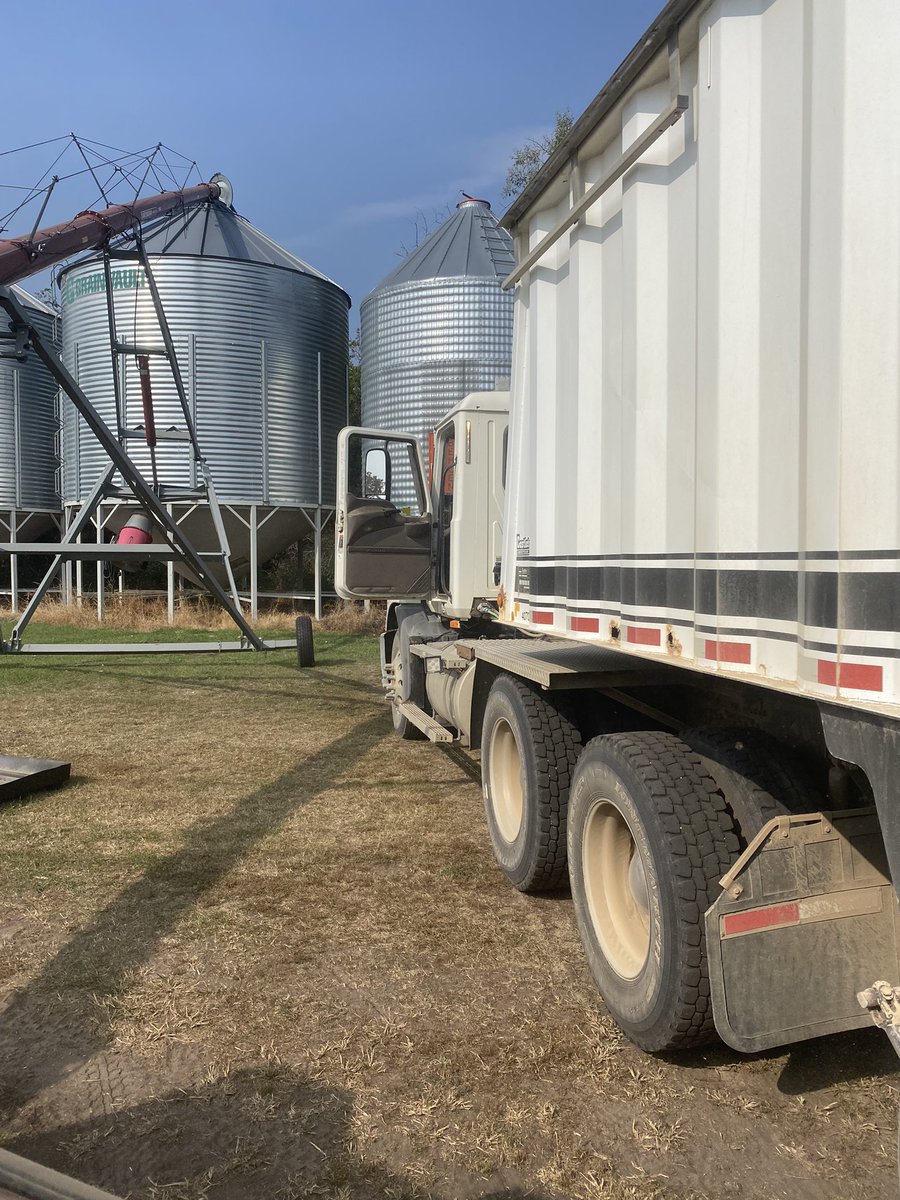 Since #AgTwitter has been fairly quiet on the #ptoremoved when moving the #auger, and #laddersout and #laddersin has been quiet too, how about #doorsopen on the semi when unloading at the yard. That’s sure to stir up some guys!!! 🤣🤣🤣#happyharvest #harvest2022 #nesask