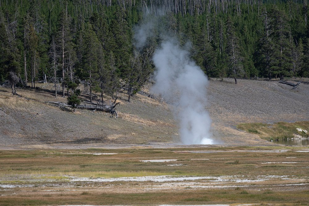 Bison and Geysers in the distance
lnkd.in/g8cq3fw8
Come Explore, rent a cabin. Yellowstone's in our backyard.
:
#madisonriver #montana #westyellowstone #cabinrental #flyfishing #jimsflyco #onthefly #whitingfarms #hiking #yellowstonenationalpark