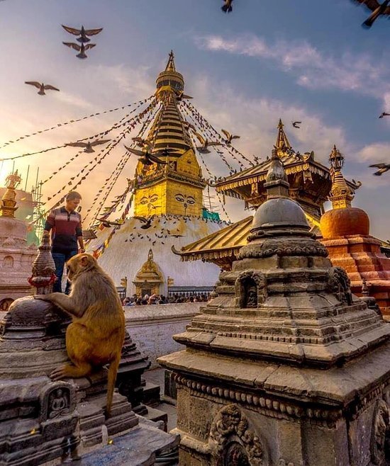 UKlYOYUGEN's tweet photo. This page never does their research..like this isn't even Nepal.

Here are some architectural examples from Nepal:
- Kathmandu Darbar square
- Swayambhunath
- Boudhanath stupa
- Janaki Mandir https://t.co/nyz0TxtLd2