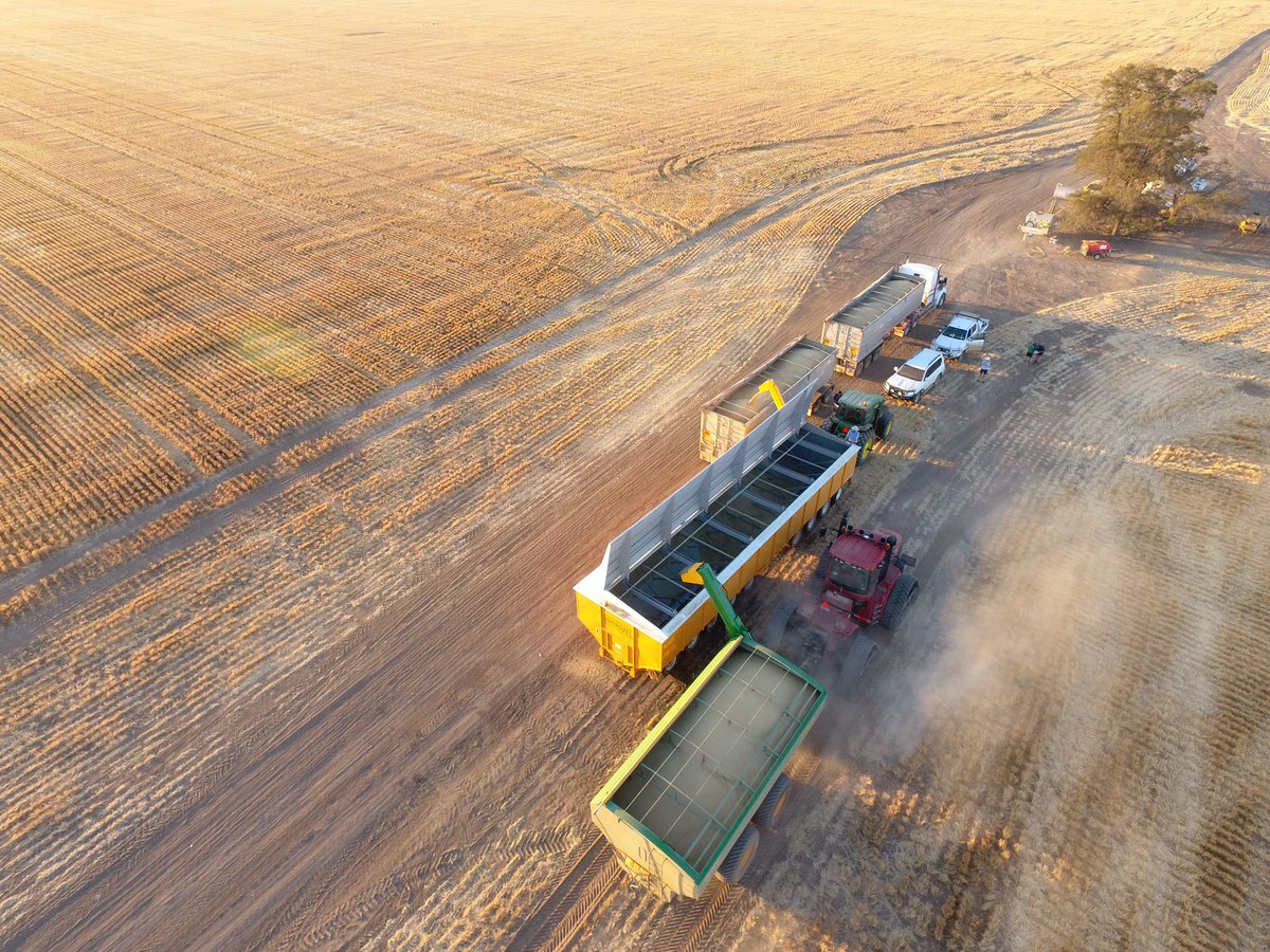 Ag &amp; Hire are looking for staff for the upcoming harvest. Starting in October and running through until December. Work will mainly be around Moree. We are looking for operators for Headers, Chaser Bins and a Truck driver with MC licence. Please contact Alex on 0428971455.