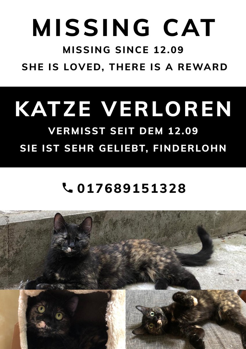Lost cat! We need help finding her. Please get in touch if you have seen her  #berlin #Friedrichshain #weidenweg #ost #cat #help