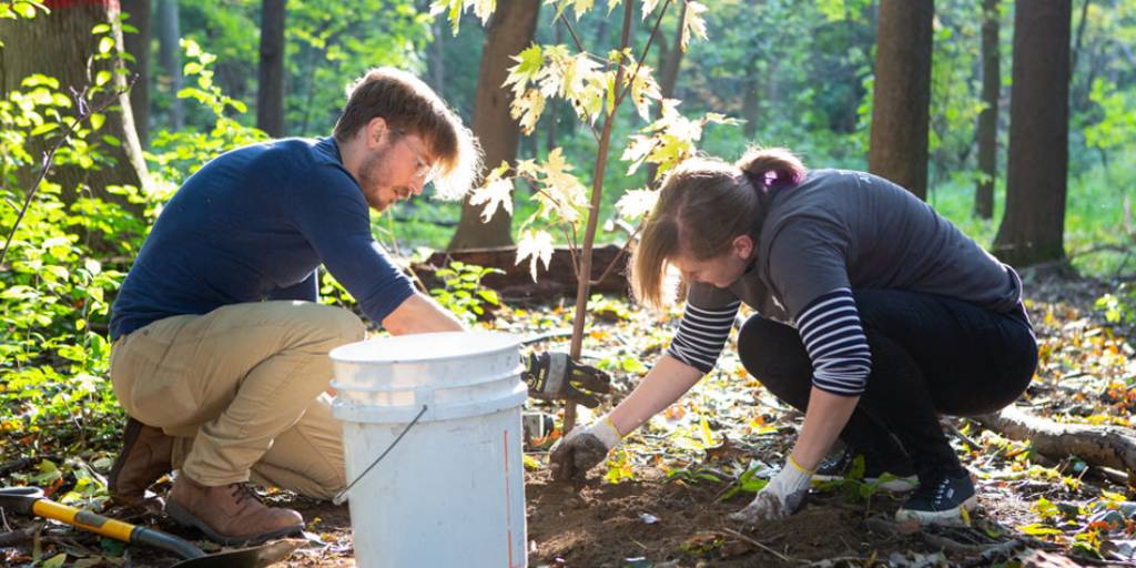 TreeCanada's tweet photo. 🌳This year, our hope is that all Canadians will be able to celebrate the many benefits that trees provide, even if they’re not able to join one of our community events. To help you plan your own #NTD2022 event, we’ve put together this useful guide: https://t.co/oby9Oq74kX https://t.co/JH7zByTV8l