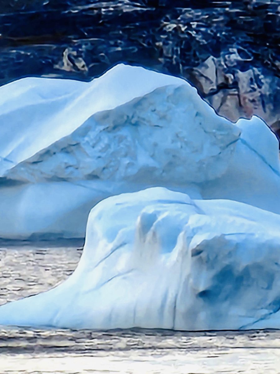 MsEmmy17's tweet photo. Sail away #voyageroftheseas #iceberg #greenland 🇬🇱Sept 13/22 @JamesVanFleet https://t.co/jRkY76VybQ