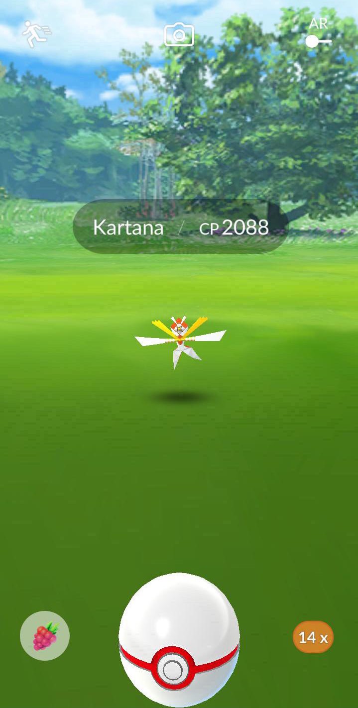 Kartana Raid Guide