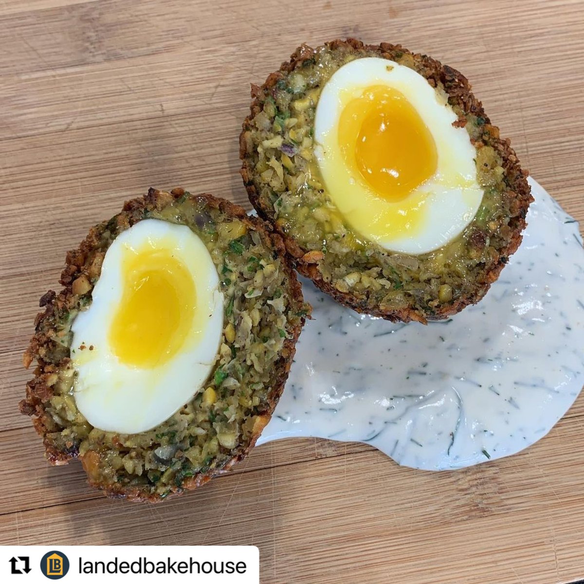 winterlongbeer tweet media