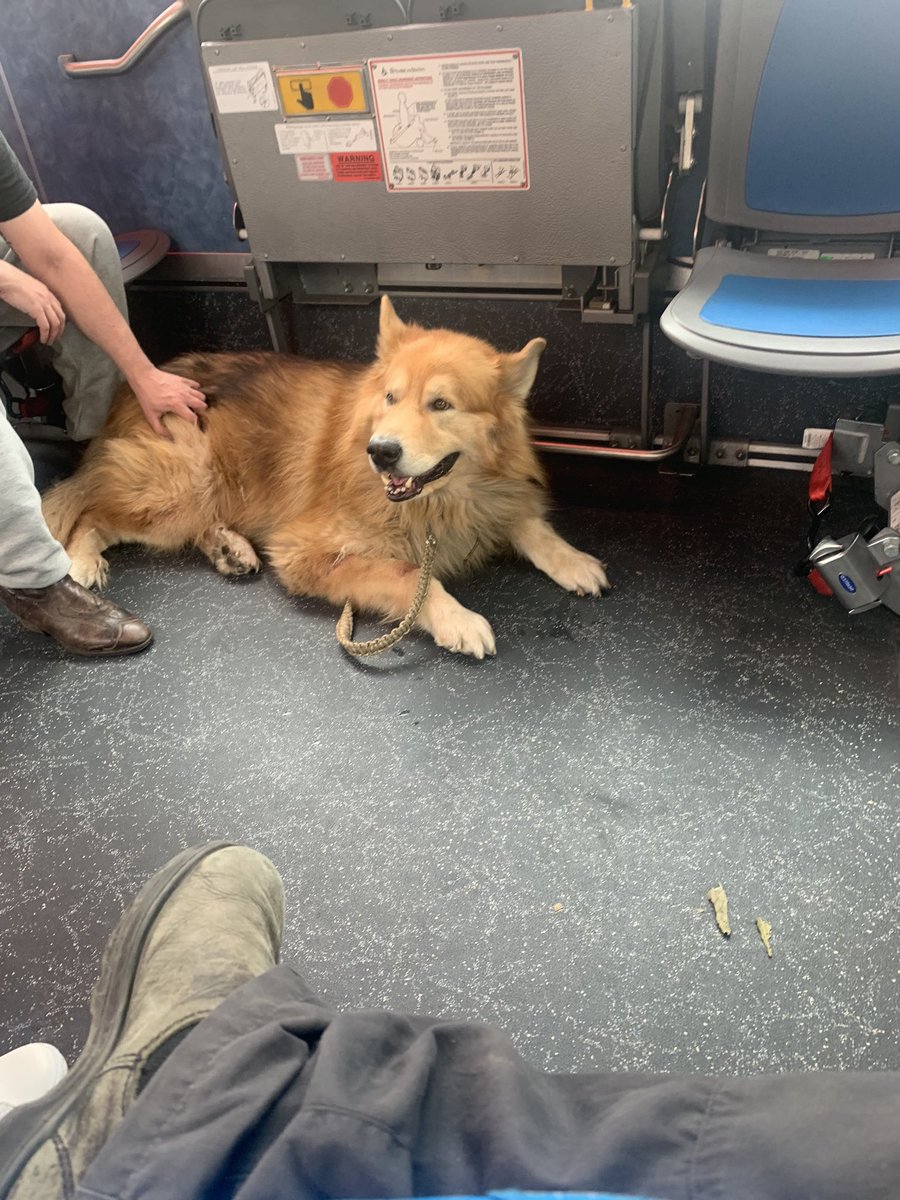 PrincessStax's tweet photo. bus friend! 😃 https://t.co/lRcnvSMkvi