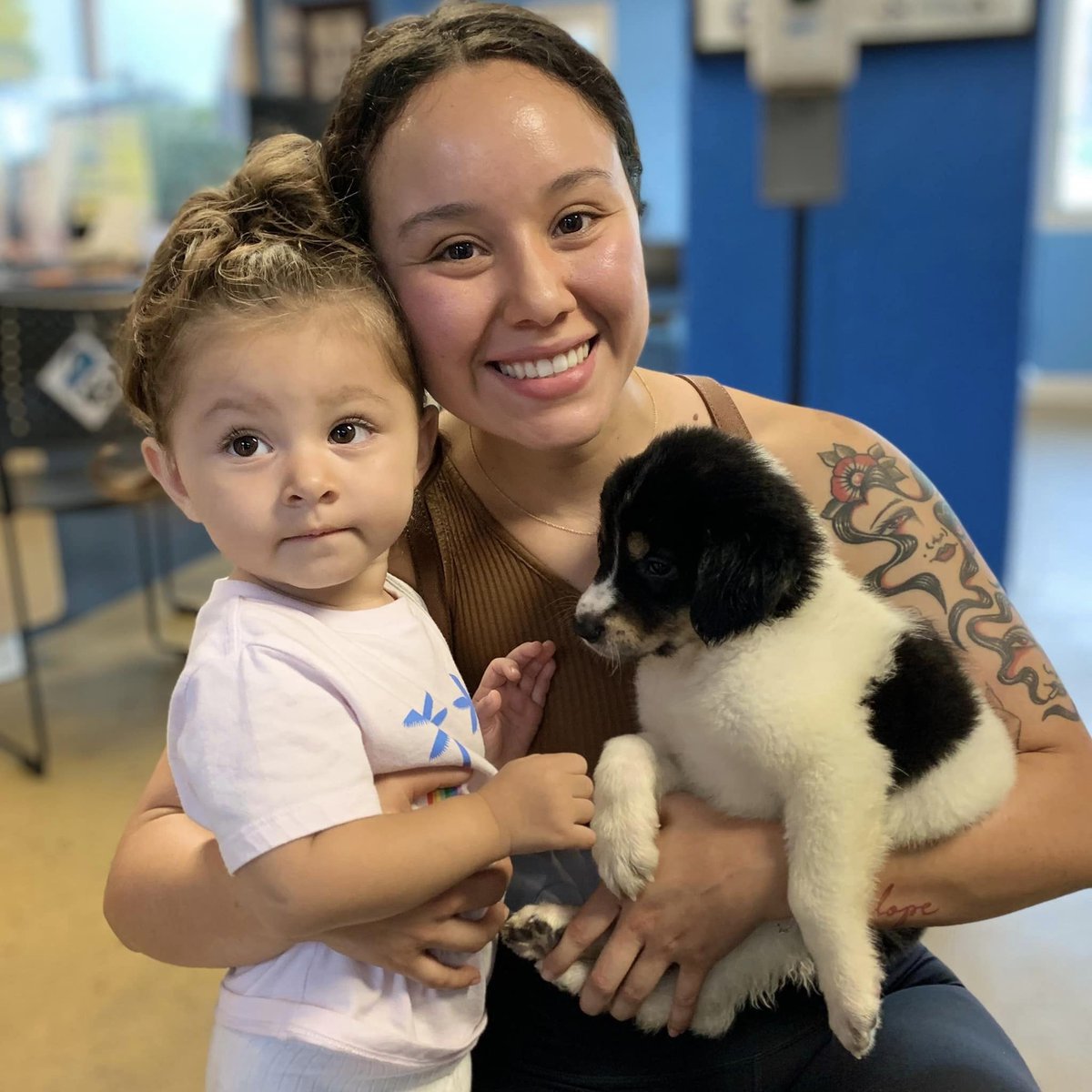 SanDiegoCounty's tweet photo. More adoption successes! 

Our County animal shelters are full right now after taking in dozens of animals from the #border32fire. We're extending our adoption fee waivers for most animals .

Find your new best friend at the Bonita or Carlsbad shelters: https://t.co/PvgGQSGCe4 https://t.co/SFUMb1pg3b