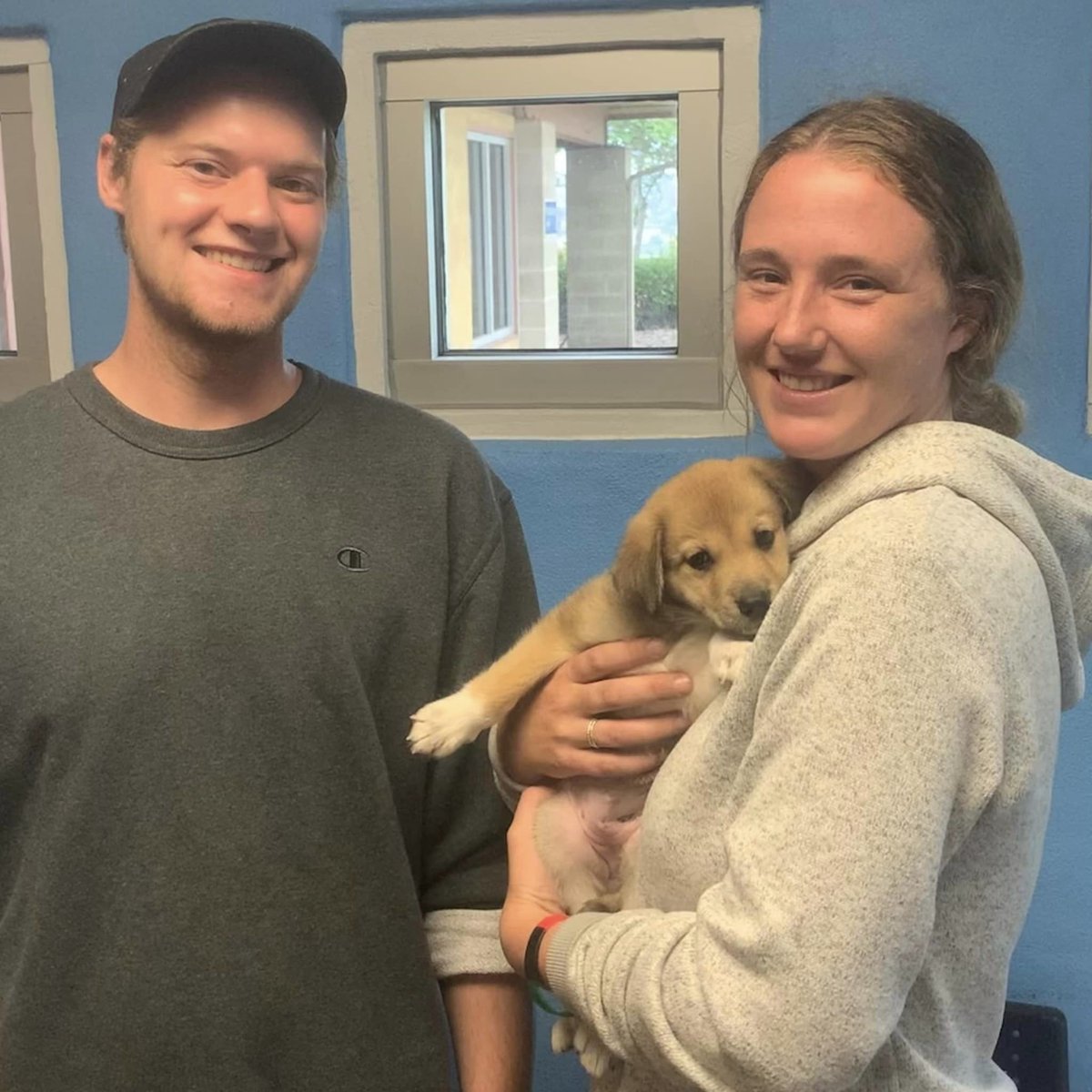 SanDiegoCounty's tweet photo. More adoption successes! 

Our County animal shelters are full right now after taking in dozens of animals from the #border32fire. We're extending our adoption fee waivers for most animals .

Find your new best friend at the Bonita or Carlsbad shelters: https://t.co/PvgGQSGCe4 https://t.co/SFUMb1pg3b