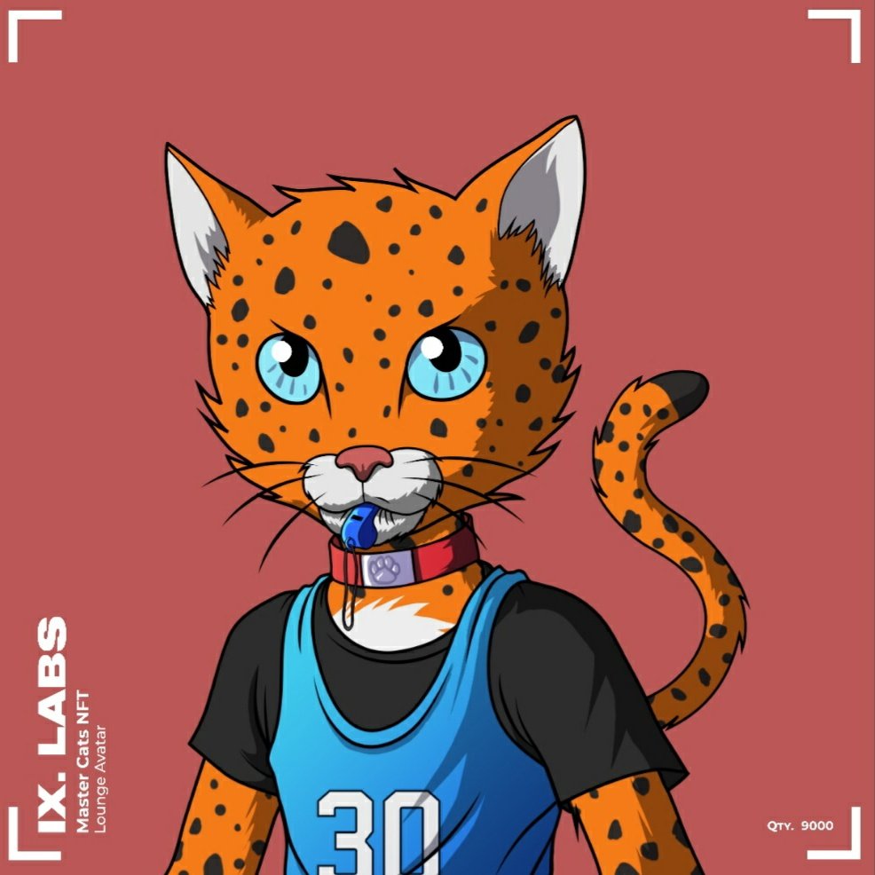 spacexxNFT| 🇨🇦11.eth| 🇹🇷90.eth | 🇩🇪8.eth | tweet media