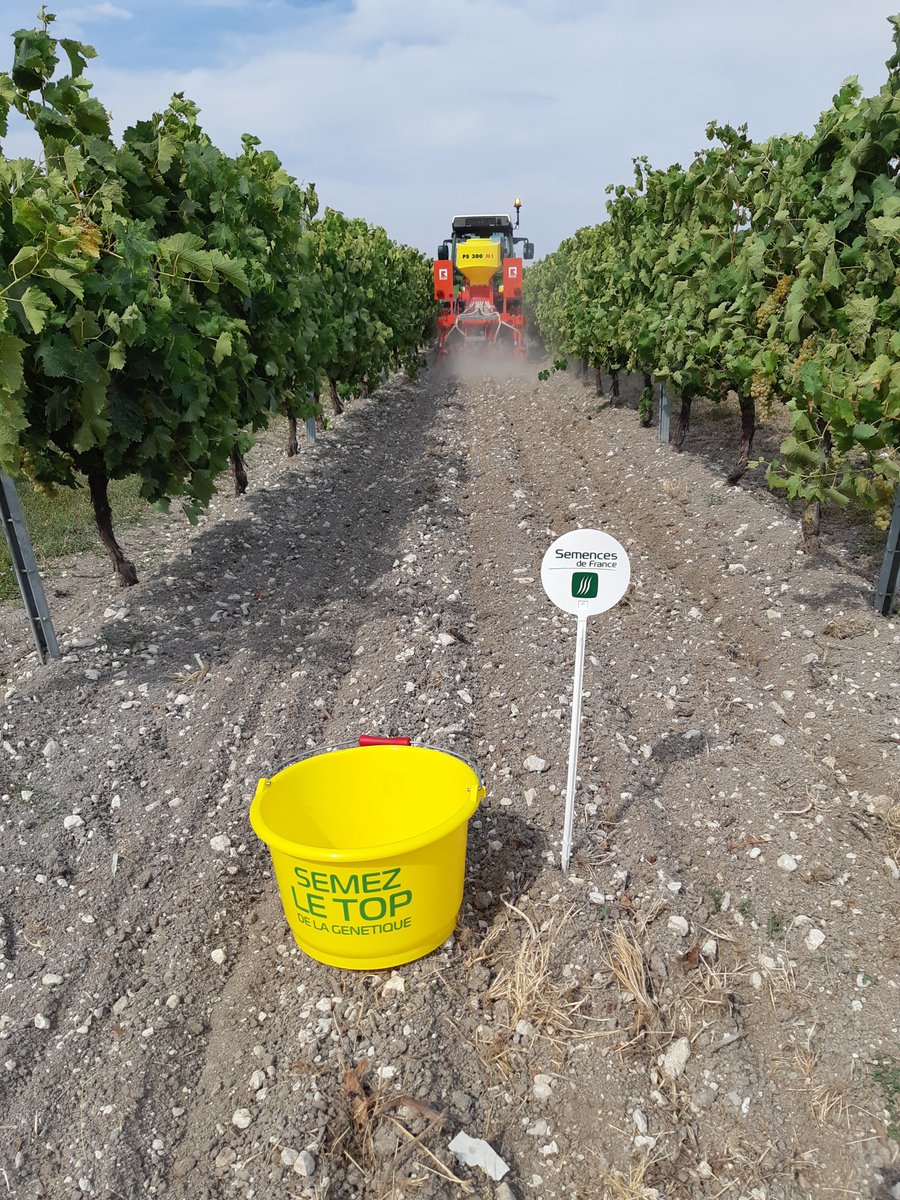 SPionneau tweet media