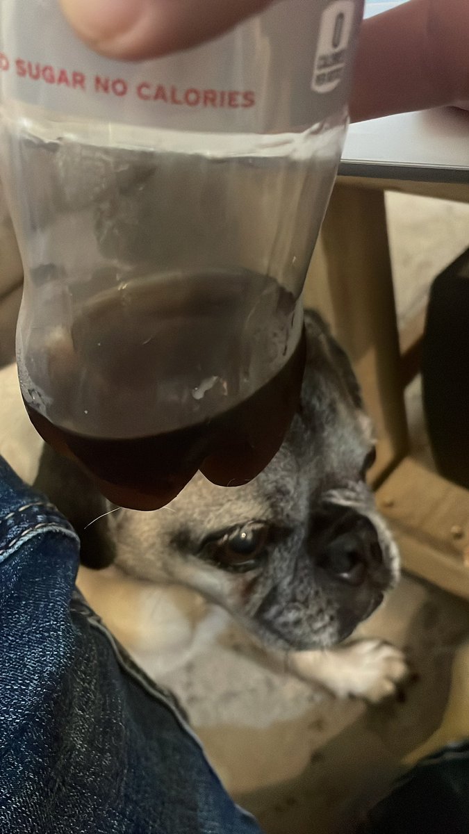 br_he4's tweet photo. @DietCoke @DietCoke It had  been 6 weeks since we talked and our beloved @USPS did not deliver anything from you 🥲. What will my wife and I drink now? https://t.co/Gh6AiU5jdY