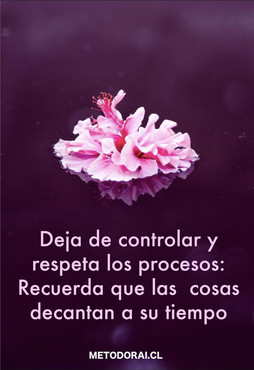 metodo_rai's tweet photo. Deja de contolar y respeta los procesos: Recuerda que las cosas decantan a su tiempo. Buena idea! 🌸💜 #metodorai https://t.co/oFonAb1zQl