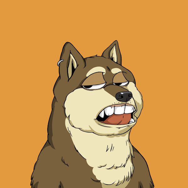 dogyyhouse tweet media