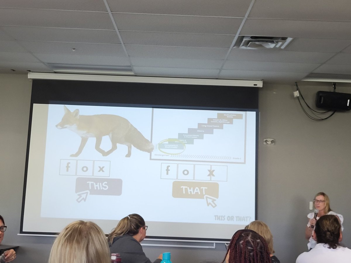Thank you for the immense amount of literacy PD and resources today <a href="/TVDSBLiteracy/">TVDSBLiteracy</a> @tvdsbslp <a href="/TVDSB/">Thames Valley DSB</a>