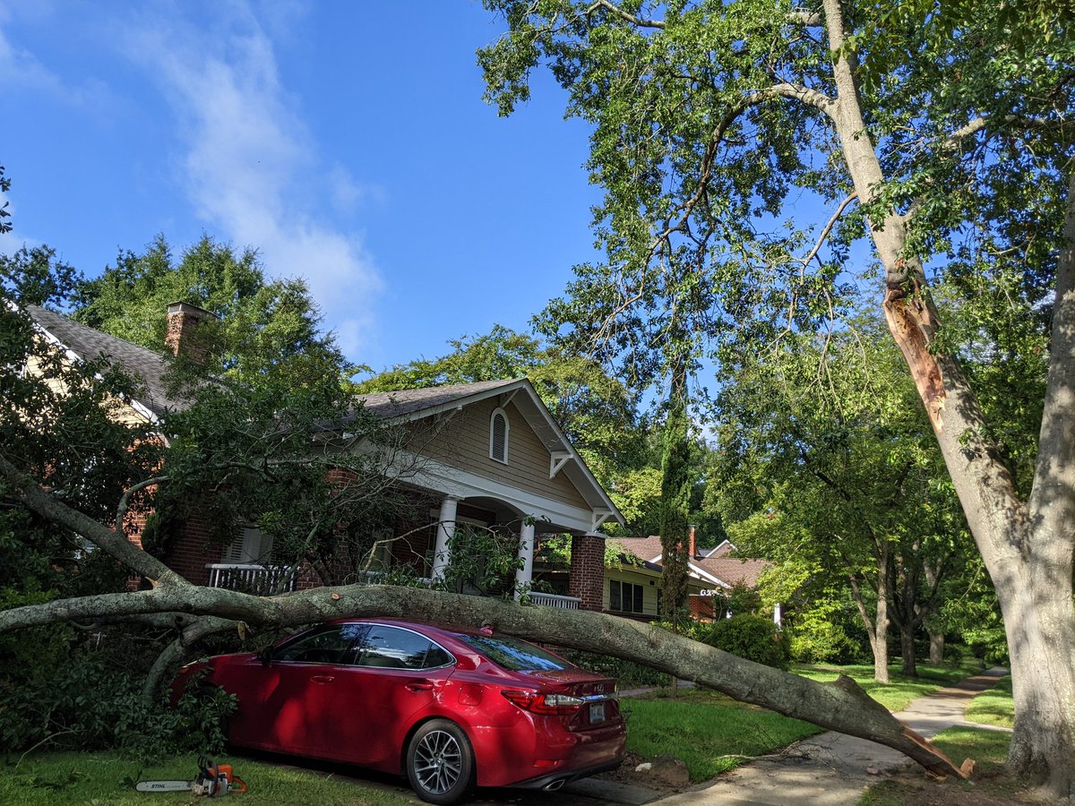 Just moved to <a href="/CityofColumbia/">City of Columbia</a> for new job &amp; BAM! 💥 A City-owned oak tree falls on my car &amp; rental house, totaling my car! City came within the hour to free us (yay), but denies responsibility &amp; won't cover my loss (boo). What a terrible, nightmare welcome! #sodacity #columbiasc