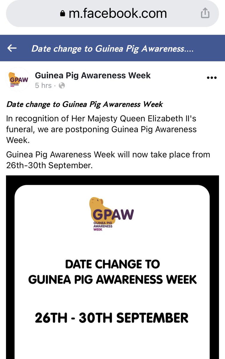 Remember: it’s disrespectful to be aware of guinea pigs this week.