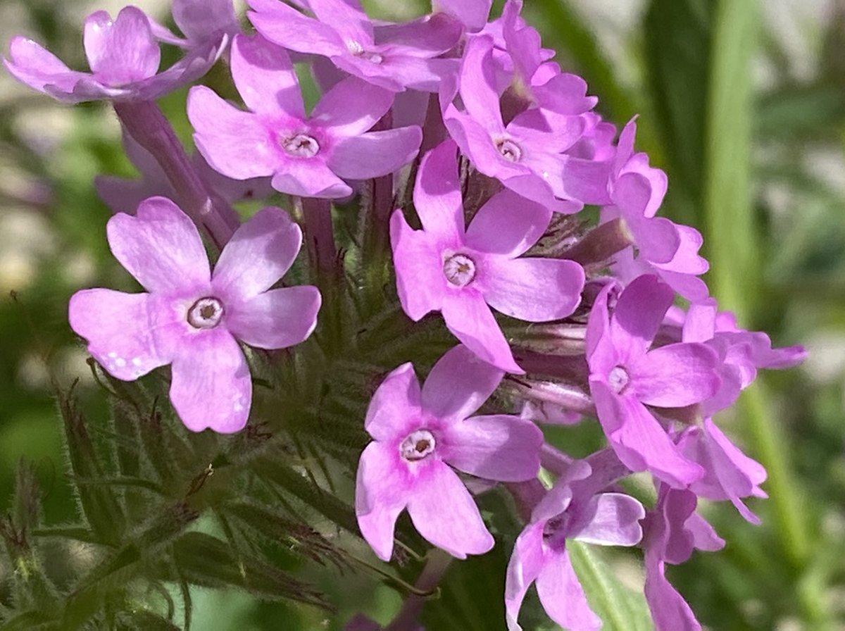 Rob Beintema tweet media