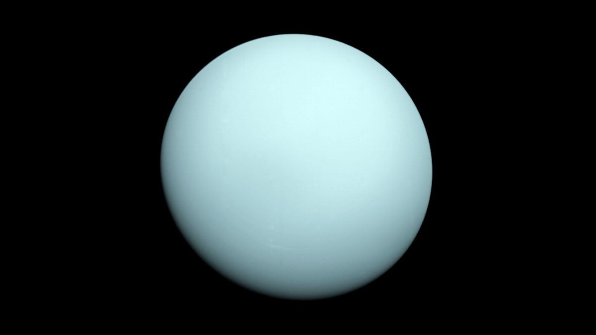 SPACEdotcom's tweet photo. What would you name a Uranus probe? The internet's answers are about what you'd think https://t.co/8ukbrgTv8r https://t.co/oJQ0eavy0N