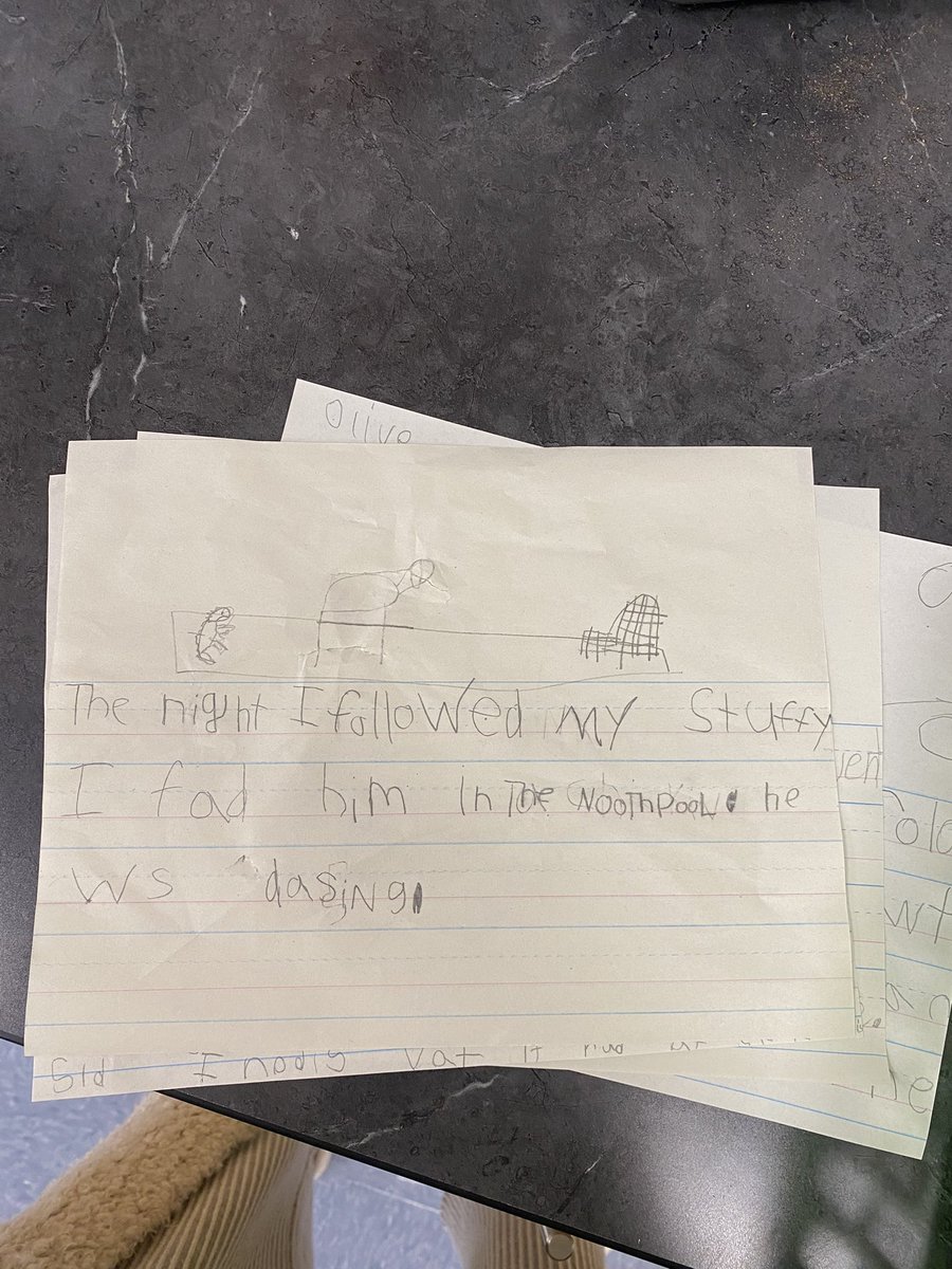 MsCanning1's tweet photo. After reading “The Night I Followed The Dog,” students had to write about the night they followed their stuffed animal! https://t.co/QYRpArQayC