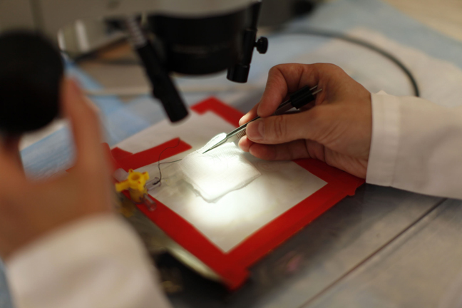 BRF seeks to find cures for all neurological disorders and brain diseases. 

Support us in this cause today and leave a lasting legacy today. 

thebrf.org/donate/

#brainscience #brainresearch