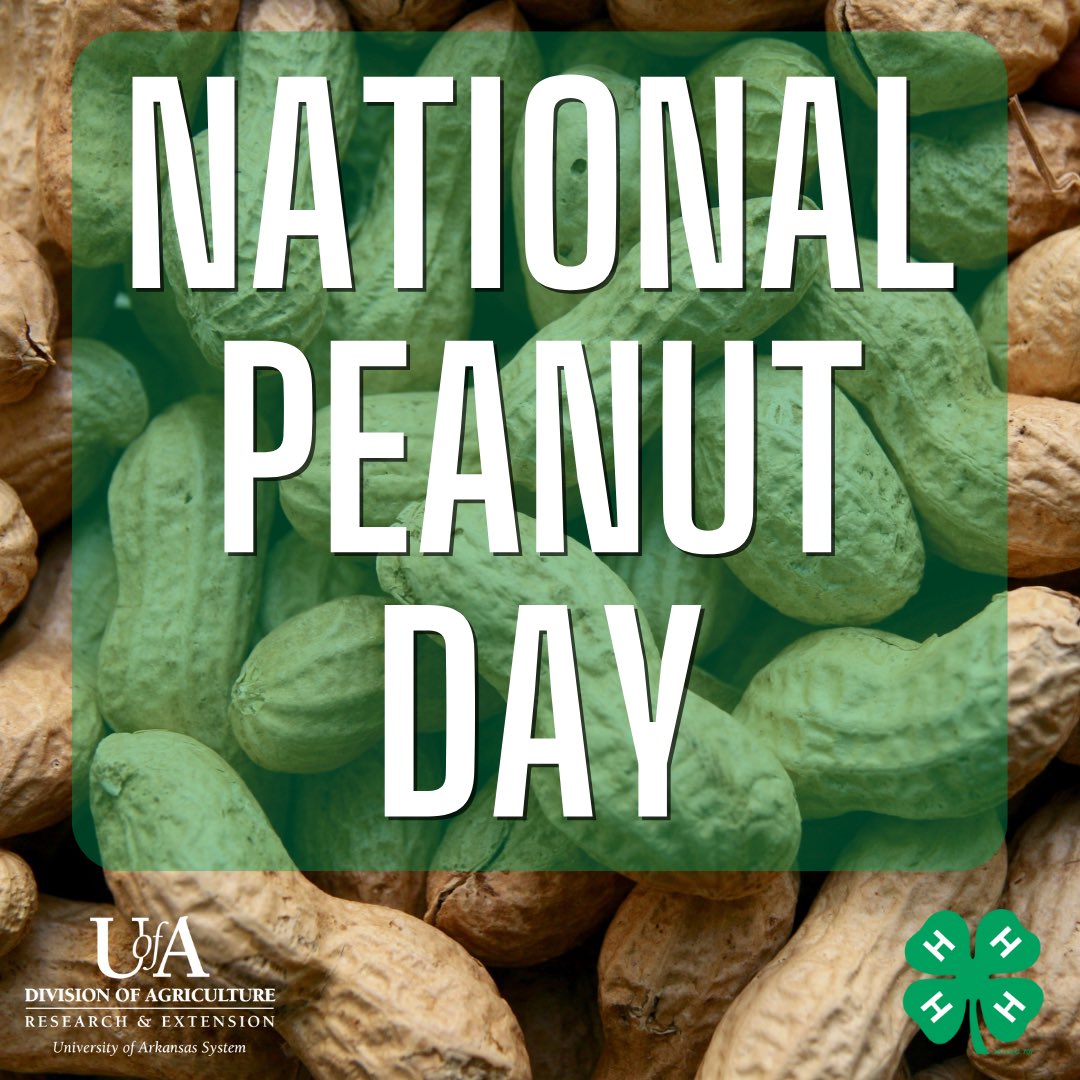 Arkansas4H's tweet photo. Peanuts are a pretty big commodity in #ArkansasAg with 34,000 acres of peanuts harvested in 2021 with an average of 5,000 lbs./acre! In 2019, AR ranked # 7 in peanut production in the Nation - wow, that's nuts! ππ₯π
#AR4H #AgInArk https://t.co/wOWz03TEfP