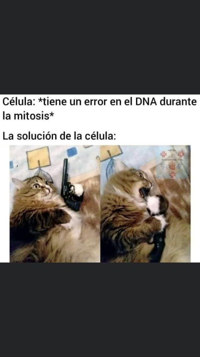trujito31's tweet photo. Los invito a seguir el ejemplo de sus propias celulas en su vida cotidiana,  todo error tiene su solucion ;) https://t.co/GRNNinIhra