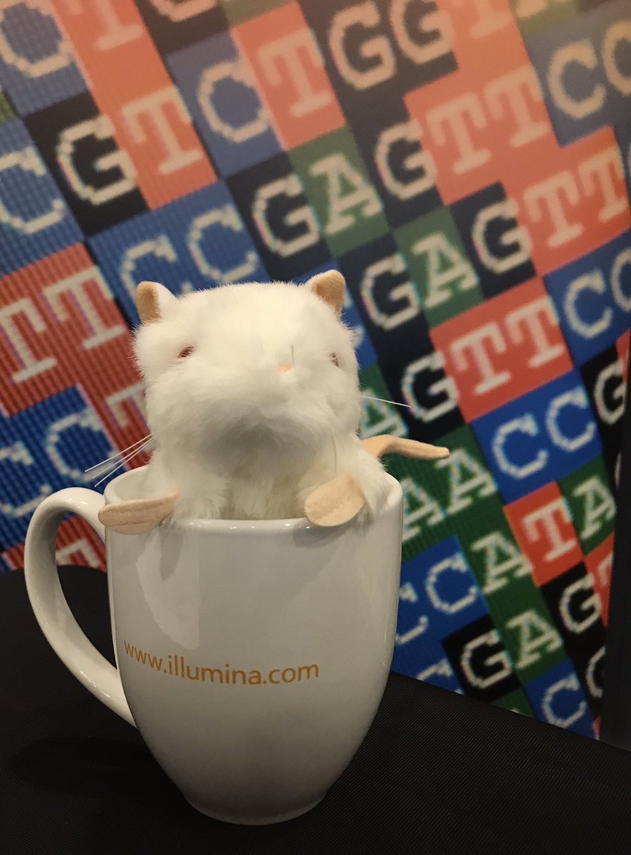 PeterColeman456's tweet photo. Post conference dinner, Methyl the Mouse recommends you grab an @illumina sponsored coffee to get the day started.  To find out more about the Infinium Mouse Methylation Array click the link https://t.co/iJCgihJkUD #AusEpi22  #illumina https://t.co/cJwCag9ahA