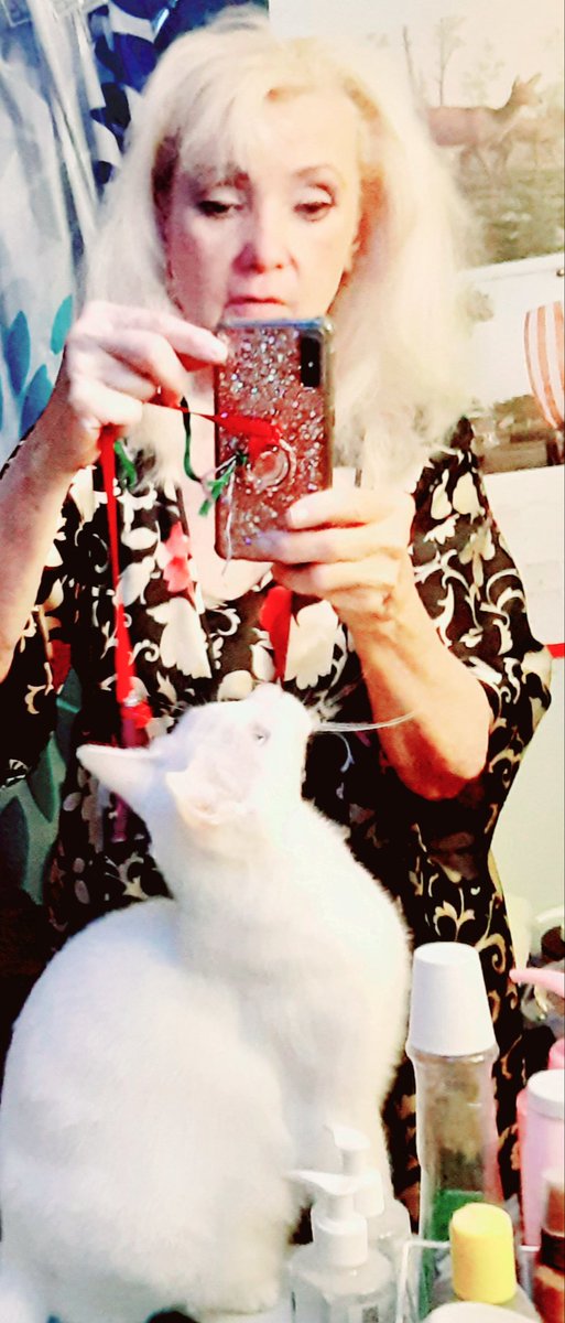 Madonna48036's tweet photo. Mommy, what are you doing?? https://t.co/tIEYuOuxEO